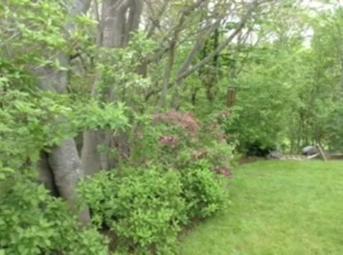 Hotel Beatonridge Guest House Halifax